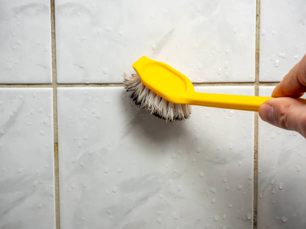 Best Professional Mold Removal  in Bradford, OH