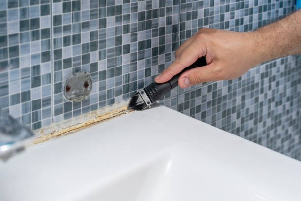 Best Mold Removal Near Me  in Bradford, OH